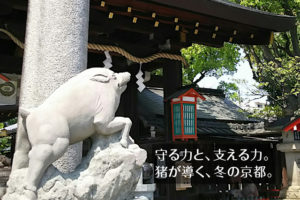 足腰を守る「狛猪」の導き。京都・護王神社と、冬にいただく丹波篠山のぼたん鍋