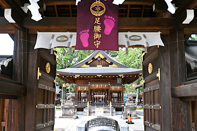 護王神社：表門から拝殿を望む