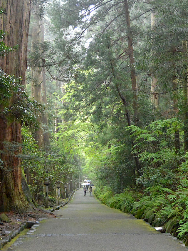 白山比咩神社の参道