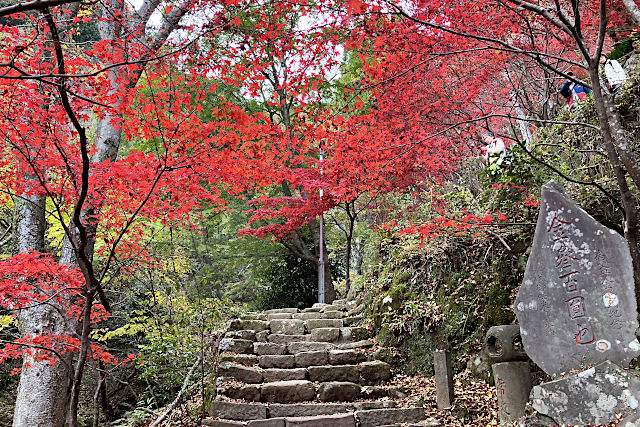 大山寺の紅葉