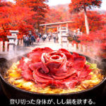 相模の霊山、秋から冬を登る。大山阿夫利神社参拝と、身体を温めるこま参道のしし鍋（ぼたん鍋）