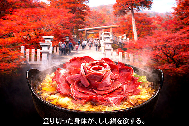 登り切った身体が、しし鍋を欲する。