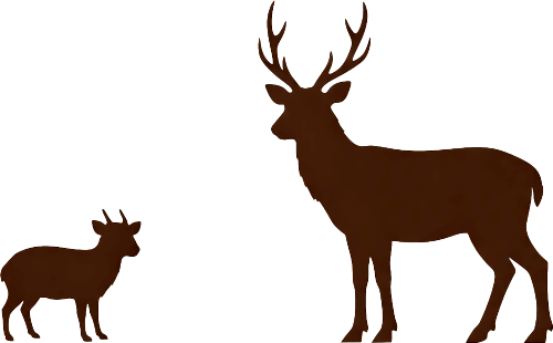 キョンとニホンジカの比較
