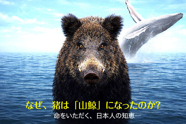 なぜ、猪は「山鯨」になったのか？